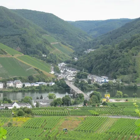Holiday * Uhler